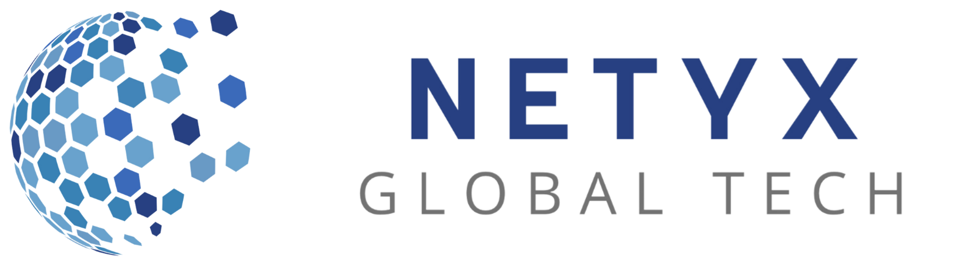 NETYX Servizi Digitali Professionali